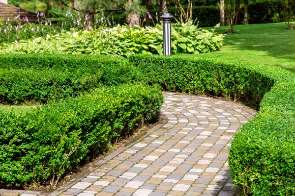 Paved Landscaping in Rancho Cucamonga
