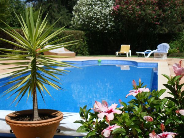 Pool Terrace Renovation in Rancho Cucamonga