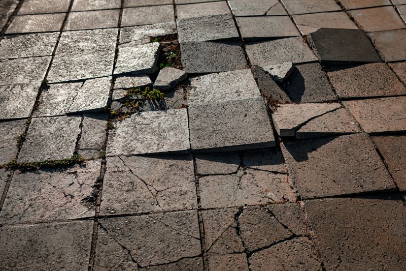 Paver Repair Projects