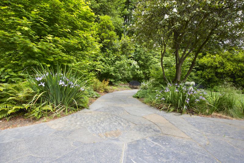 Walkway and Pathway Solutions